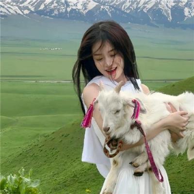 我的如意狼君国语